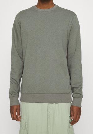Felpa grigia con collo tondo, polsini e orlo a costine, e una texture morbida. Indossata sopra pantaloni corti verde chiaro, che mostrano uno stile informale.