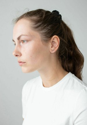 Wildcat DOUBLE BEAM CRYSTAL - Earrings - Roségold