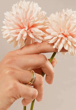 Zwei weiche, rosa Dekorationsblumen, die von einer Hand gehalten werden, mit einem goldenen Band und einem mit Diamanten besetzten Ring an den Fingern.