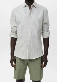 Camicia a maniche lunghe a righe in grigio chiaro e bianco, con colletto e maniche arrotolate, abbinata a pantaloncini verde oliva.