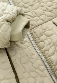 Next REGULAR FIT-SHOWER RESISTANT QUILTED  - Wintermantel - sage green