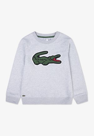 APPLIQUE CREW - Sweatshirt - argent chine heather