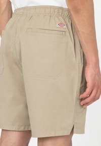 Šviesiai rudi medvilniniai šortai su elastine juosta, šoninėmis kišenėmis ir galine kišene su kontrastine siūle. Dickies logotipas.