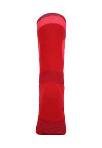 ZIGZAG TIPPY - Overknee kousen  - teaberry