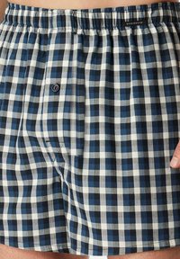 Boxer shorts a quadri blu e bianchi con una vita elasticizzata, un singolo bottone e una consistenza morbida in cotone. Motivo a quadri ben visibile.