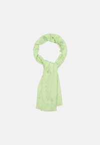 Ljusgrön scarf i mjukt tyg, med subtila mönster, fransade ändar och en loopad design för enkel användning.