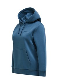 Kapuzensweatshirt aus weichem, mittelblauem Stoff. Verfügt über eine Kängurutasche, gerippte Bündchen und ein dezentes Logo auf der Brust. Klassisches Design.