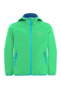 Non sélectionné, lizard