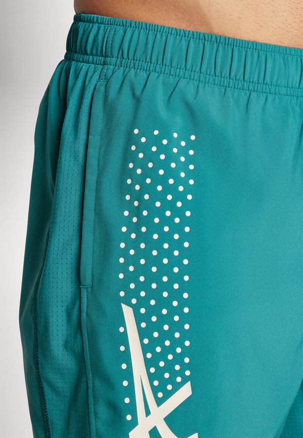 ICON SHORT - Sports shorts - rainy lake3