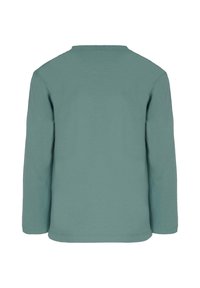 Langærmet skjorte i dæmpet teal, lavet af blødt bomuld. Enkel design med rund halsudskæring og lige kant, ingen mønstre eller dekorationer.