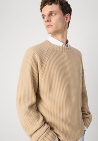 Beige knitted sweater with a round neck, ribbed hem and cuffs, featuring a textured design and a subtle logo detail on the side.