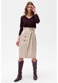 Beige rok tot op de knie met verticale blauwe strepen, een strikceintuur in de taille en drie bruine knopen. Draagt een donkere trui en bruine laarzen.
