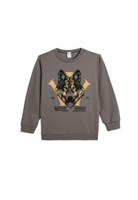 Szary sweatshirt z długimi rękawami, z grafiką czarno-żółtego wilka i napisem "NATIVE SPIRIT". Ściągacze przy mankietach i u dołu.