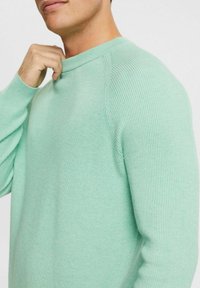 Maglione verde menta chiaro realizzato in tessuto a coste; presenta un collo a giro e maniche lunghe, con una silhouette aderente.