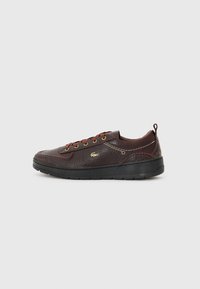UMPIRE - Baskets basses - brown/dark brown