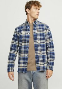 Geruite blouse in tinten blauw en beige, gemaakt van flanel, met een button-down kraag, lange mouwen en een knoopsluiting aan de voorkant.