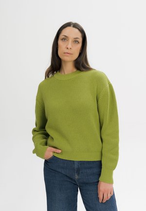Vrouw met lang donker haar draagt een groene gebreide trui en blauwe spijkerbroek, staand met een hand in de zak tegen een effen witte achtergrond.