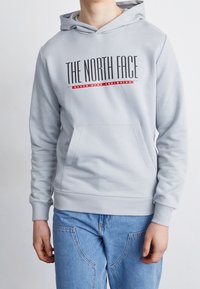 Persona vistiendo una sudadera gris claro con el texto "THE NORTH FACE" y "NEVER STOP EXPLORING", combinada con jeans azules, frente a un fondo liso.