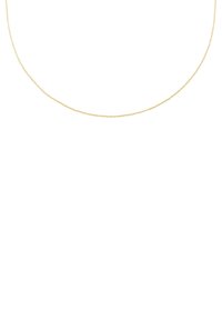 Gouden ketting met een delicate, dunne uitstraling. Heeft een gladde, glanzende afwerking en een egale, uniforme textuur over de gehele lengte.
