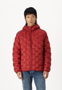 Hollister Co. GORP  - Light jacket - merlot