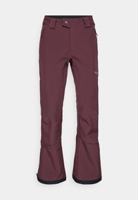 ROFFEE RIDGE™ PANT - Skibukse - moonvista