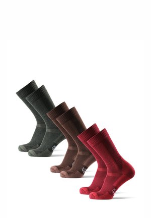 3-PACK  - Sportsocken - green/brown/red