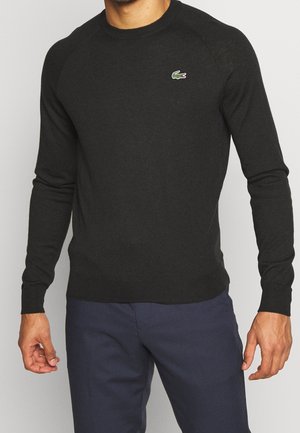 Mand iført en ensfarvet sort langærmet sweater med en lille grøn krokodillelogo på brystet og mørkeblå bukser.