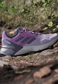 Lilla og grå Adidas Terrex trail løbesko på klippefyldt udendørs område med grønne planter i baggrunden.