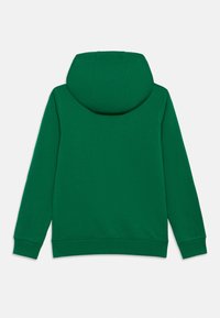 Sweatshirt verde feito de um tecido macio, com um capuz grande, mangas largas e punhos canelados. Design simples, sem hardware visível ou padrões.