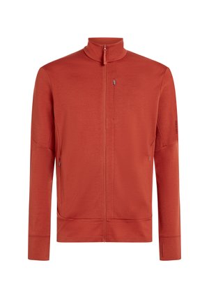 icebreaker, MEN MERINO 260 QUANTUM LS ZIP - Zip-up sweatshirt - agate