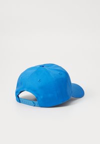 Blue cotton baseball cap featuring a smooth texture, a curved visor, and adjustable snapback closure. Rear view shows ventilation holes.