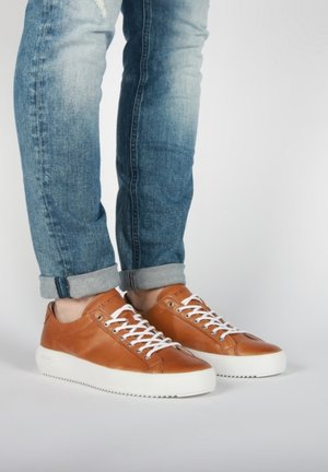 MORGAN LOW  - Zapatillas - rust