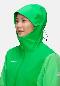 Mammut LINARD GUIDE HOODED - Hardshelljacke - aurora pinea