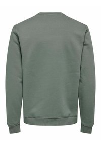 Grøn sweatshirt, bomuldsblanding, rund hals, ribbede manchetter og kant, glat tekstur, minimalistisk design, ingen synlige logoer eller mønstre.