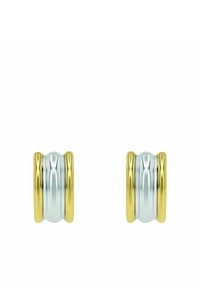 Orecchini a cerchio in oro e argento con una superficie liscia e lucida, caratterizzati da un design rigato, che combinano un aspetto metallico bicolore.