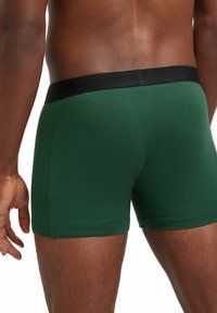 Grüne Baumwollstretch-Boxershorts mit einem schwarzen elastischen Bund, die eine glatte Textur und einen enganliegenden Schnitt aufweisen.
