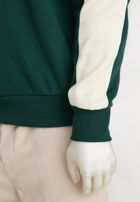 Groene sweatshirt met crèmekleurige mouwen, voorzien van geribbelde manchetten en een gladde, gestructureerde stof. Het ontwerp is casual en aansluitend.