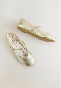 Kuldset värvi metallikst madalad baleriinakud, millel on lame tald ja rihm jala peal. Taldadel on lillemustriga vahetald, millel on roosad lilled valgel taustal.