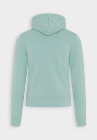 Felpa verde menta realizzata in un morbido misto cotone, con cappuccio regolabile, polsini e orlo a coste, caratterizzata da una texture liscia e un design semplice.