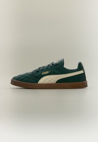 Δεν επιλέχθηκε, dark green/alpine snow