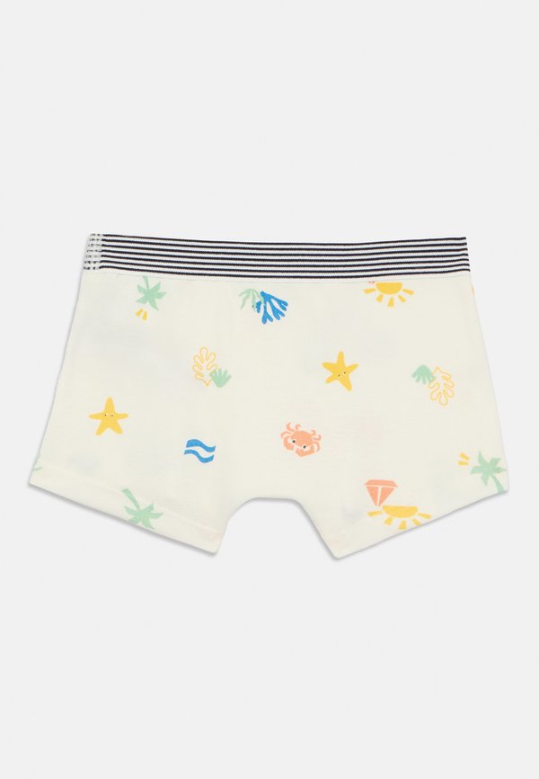 KIDS BOXERS 5 PACK - Briefs3