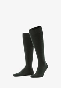 Unausgewählt, forest