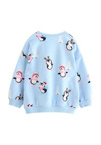 Light blue sweatshirt featuring a penguin print with snowflakes. Rounded neckline, long sleeves, and ribbed cuffs. Soft fabric with playful design.