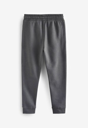 Graue Jogginghosen mit elastischem Bund, schmal zulaufenden Beinen und glatter Textur. Einfaches Design ohne sichtbare Muster oder Akzente.