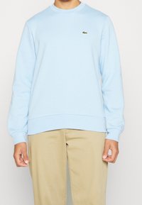 Sudadera azul claro con mangas largas, cuello redondo y puños acanalados. Presenta un pequeño logo verde en el pecho. Combinada con pantalones caqui.