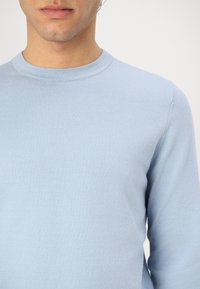 Helles Blau langärmliger Pullover mit rundem Hals. Hergestellt aus weichem Stoff, mit glatter Textur und angenehmer Passform. Minimalistisches Design, keine Muster.