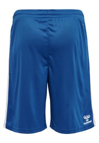 Niebieskie sportowe szorty z gładkiego, lekkiego materiału. Posiadają białe boczne paski oraz logo w dolnym prawym rogu. Elastyczny pas dla wygody.