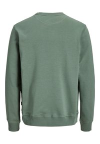 Sweat-shirt uni à manches longues avec col rond en vert atténué, avec poignets et ourlet côtelés, présenté de dos.