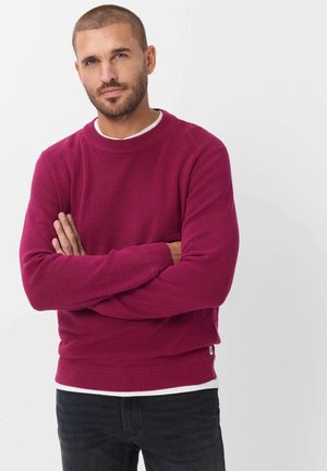 Mann mit kurzem Haar und Bart, der einen magentafarbenen Pullover und schwarze Hose trägt, steht mit verschränkten Armen vor einem einfarbigen weißen Hintergrund.