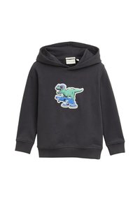 Donkergrijze hoodie van zacht materiaal, met een kleurrijke dinosaurusschets die een zonnebril draagt en op een skateboard rijdt, op de voorkant.